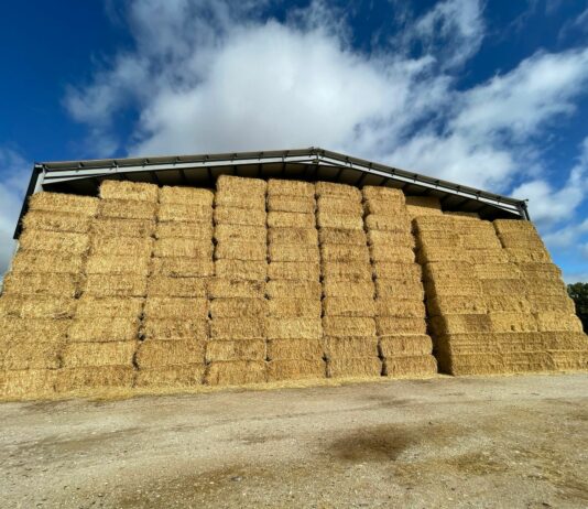 ASAJA insta al MAPA a que facilite el suministro de paja a las ganaderías