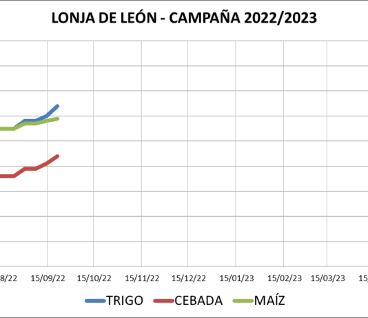 Lonja de León – 21/09/2022