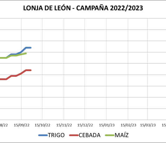 Lonja de León – 28/09/2022
