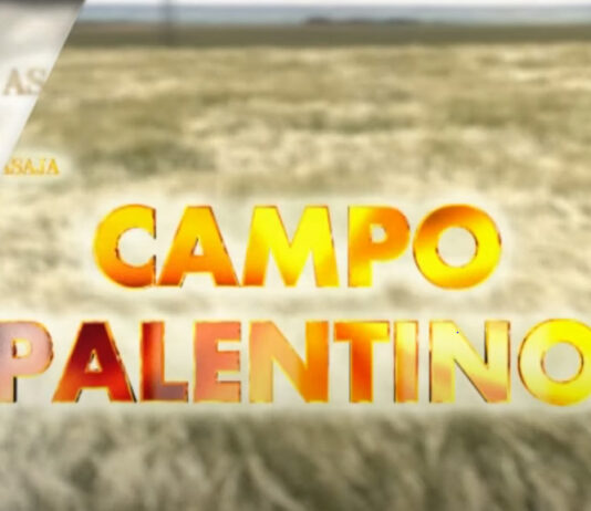 Campo Palentino vuelve a la tele este jueves