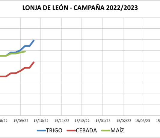 Lonja de León – 04/10/2022