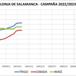 Lonja de Salamanca – 31/10/2022
