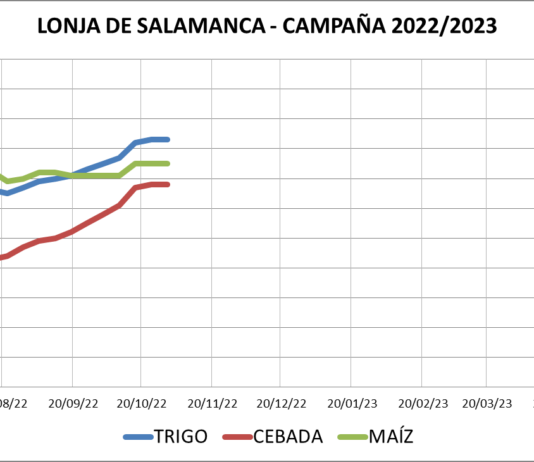 Lonja de Salamanca – 31/10/2022