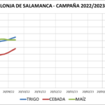 Lonja de Salamanca – 03/10/2022