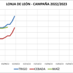 Lonja de León – 11/10/2022