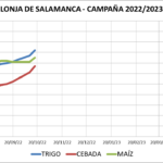 Lonja de Salamanca – 17/10/2022