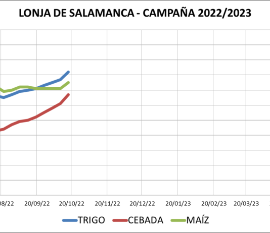 Lonja de Salamanca – 17/10/2022