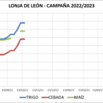Lonja de León – 19/10/2022