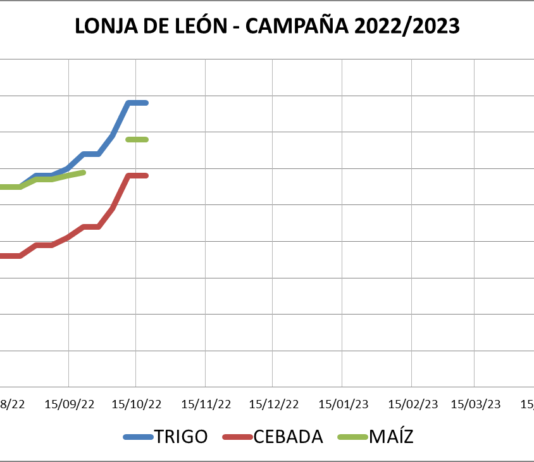 Lonja de León – 19/10/2022