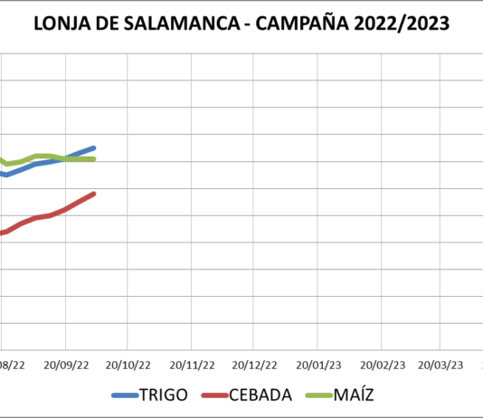 Lonja de Salamanca – 03/10/2022