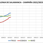 Lonja de Salamanca – 24/10/2022