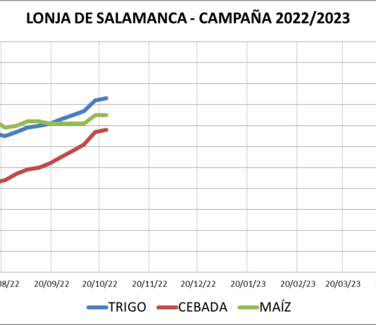 Lonja de Salamanca – 24/10/2022
