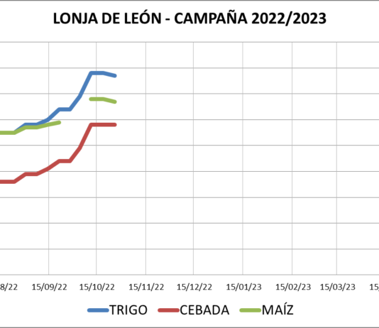 Lonja de León – 26/10/2022