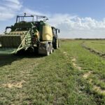 FORRAJE EMPACADO ALFALFA