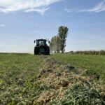 FORRAJE EMPACADO ALFALFA 2