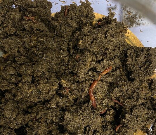 Un proyecto en el que participa ASAJA busca generar biofertilizantes y plásticos biodegradables a partir de plástico