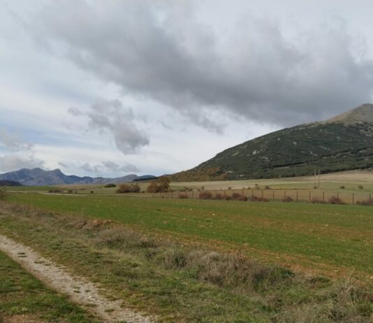 Por fin se conocen las medidas de flexibilización de la PAC para Castilla y León