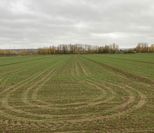 El campo votará el 12 de febrero