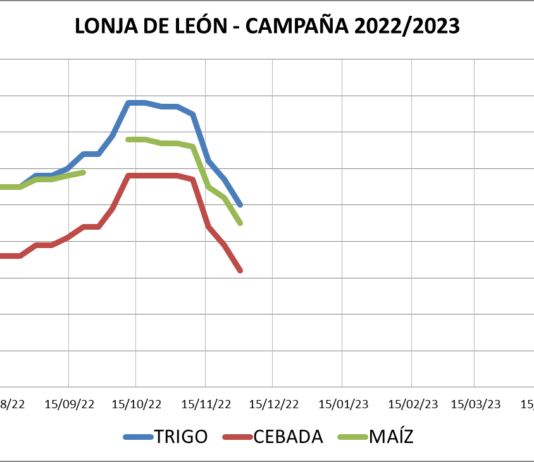 Lonja de León – 30/11/2022