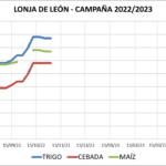 Lonja de León – 02/11/2022