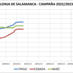 Lonja de Salamanca – 07/11/2022