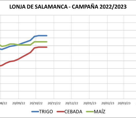 Lonja de Salamanca – 07/11/2022