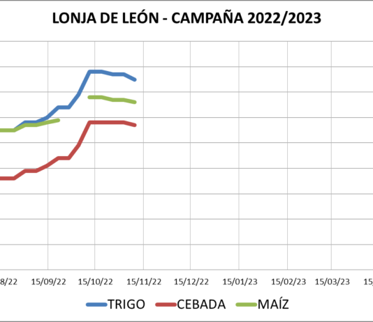 Lonja de León – 09/11/2022