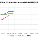 Lonja de Salamanca – 14/11/2022