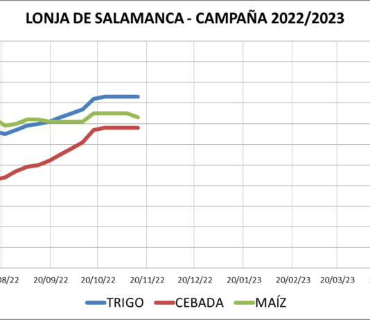 Lonja de Salamanca – 14/11/2022