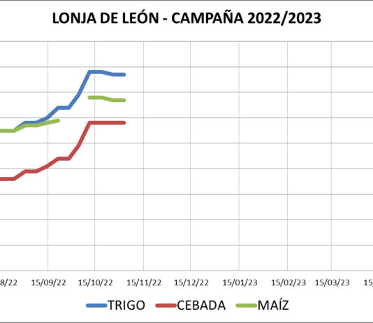 Lonja de León – 02/11/2022