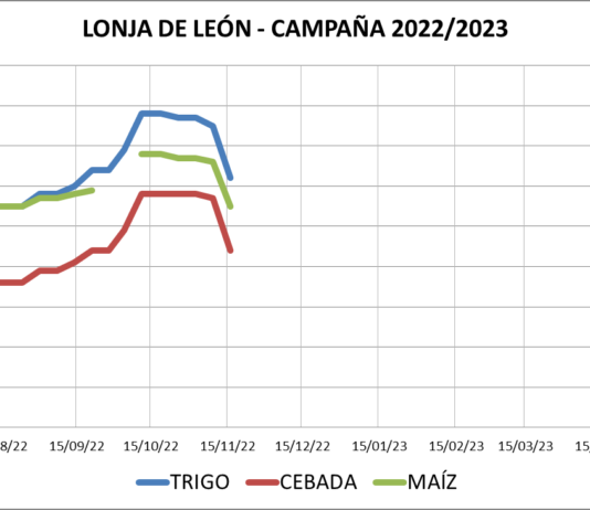 Lonja de León – 16/11/2022