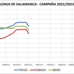 Lonja de Salamanca – 21/11/2022