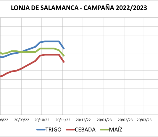 Lonja de Salamanca – 21/11/2022