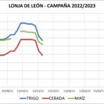 Lonja de León – 23/11/2022
