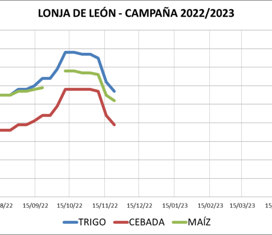 Lonja de León – 23/11/2022