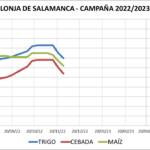 Lonja de Salamanca – 28/11/2022
