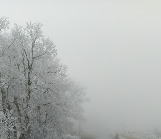 Insuficiente presupuesto para conservar y mantener los cauces de Palencia