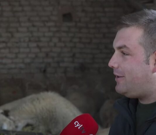 Campo Palentino – 01/12/2022