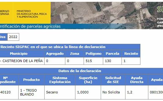 Publicadas las líneas de declaración de 2022 en el SIGPAC