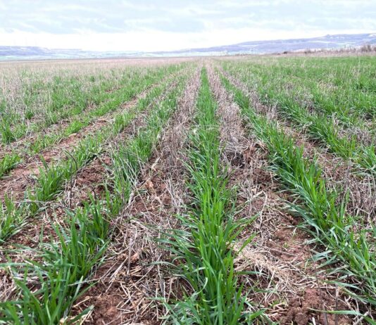 Publicado el sistema de gestión de la nueva PAC, acompañado de otras actuaciones