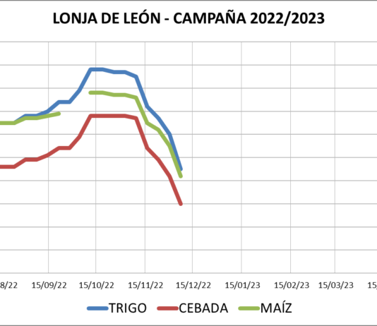 Lonja de León – 07/12/2022