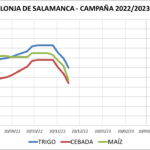 Lonja de Salamanca – 05/12/2022