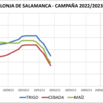 Lonja de Salamanca – 12/12/2022