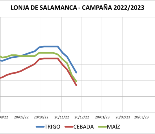 Lonja de Salamanca – 12/12/2022