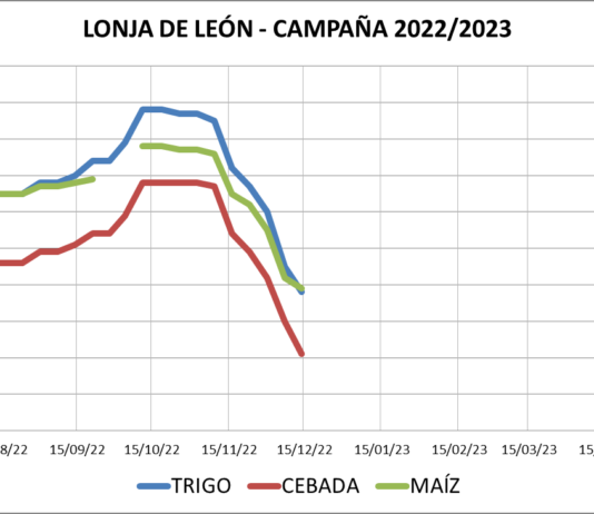 Lonja de León – 14/12/2022