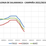 Lonja de Salamanca – 19/12/2022