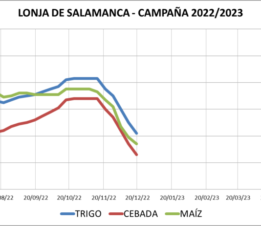 Lonja de Salamanca – 19/12/2022