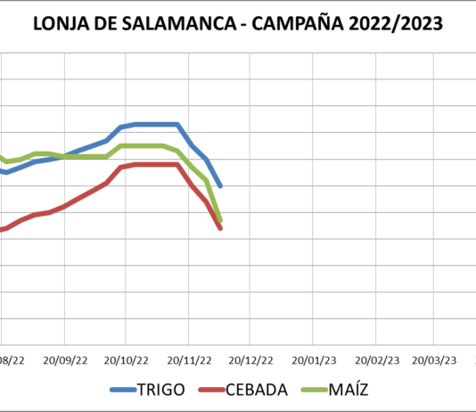 Lonja de Salamanca – 05/12/2022