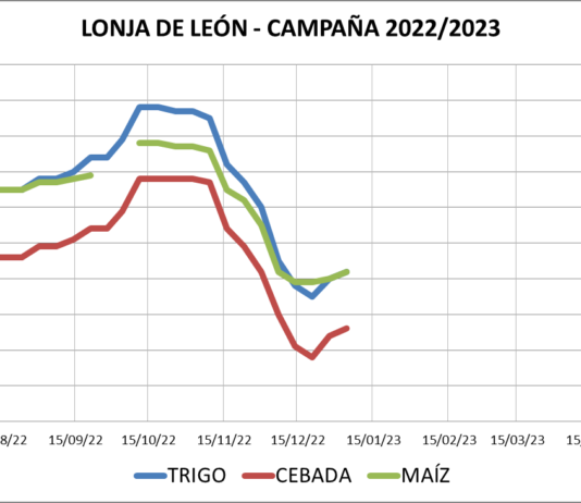 Lonja de León – 04/01/2022