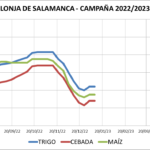 Lonja de Salamanca – 09/01/2023